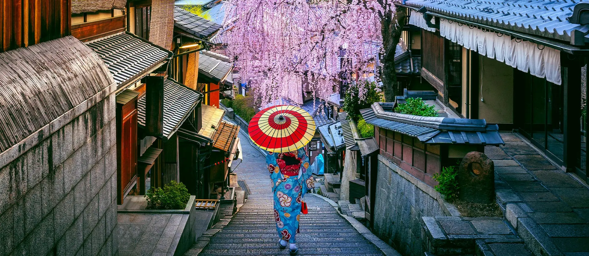 Japan tour